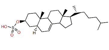 5a-Cholest-7-en-3b-ol sulfate